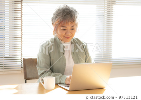 Senior woman using a laptop Senior woman using a laptop 97313121