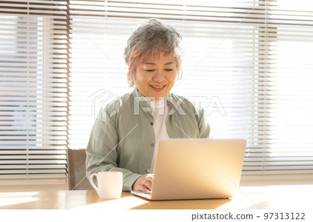 Senior woman using a laptop Senior woman using a laptop 97313122