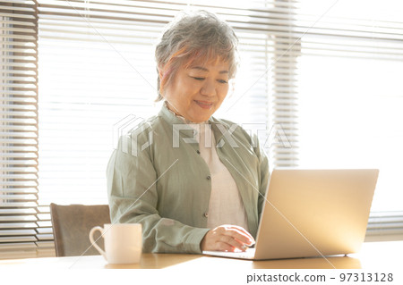 Senior woman using a laptop Senior woman using a laptop 97313128