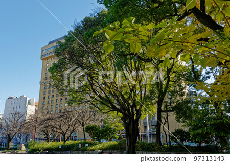 冬天的城市公園 冬天的城市公園 97313143