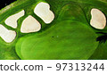 Golf green aerial shot 97313244