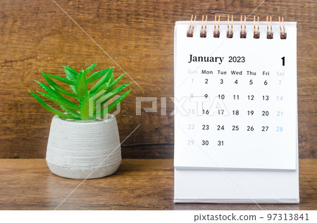 The January 2023 Monthly desk calendar for 2023 year with plant pot. 97313841