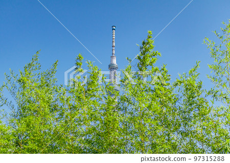 [Urban scenery of Tokyo] Urban scenery around Asakusa 97315288