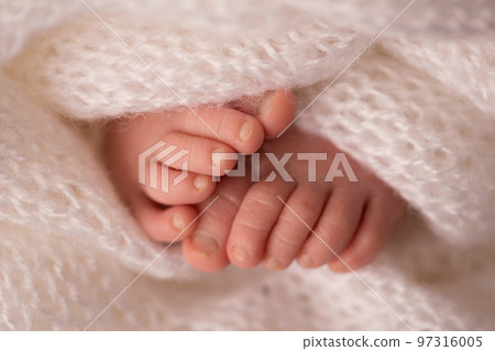 legs and toes of a newborn in a soft white blanket  97316005