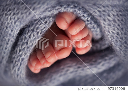 legs and toes of a newborn in a soft grey blanket 97316006