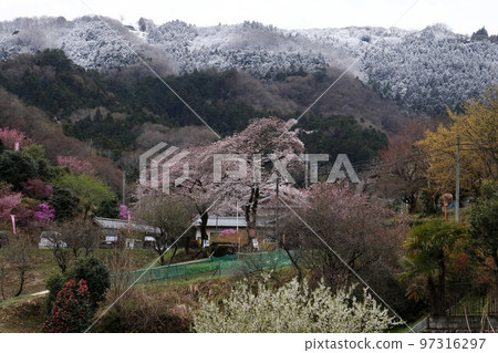 殘雪的東秩父村桃源峽 殘雪的東秩父村桃源峽 97316297