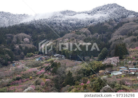 Higashi Chichibu Village Togenkyo with Remnants of Snow Higashi Chichibu Village Togenkyo with Remnants of Snow 97316298
