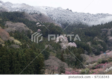 殘雪的東秩父村桃源峽 殘雪的東秩父村桃源峽 97316343