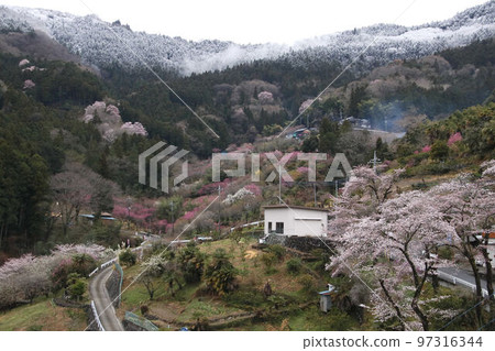Higashi Chichibu Village Togenkyo with Remnants of Snow Higashi Chichibu Village Togenkyo with Remnants of Snow 97316344