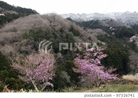 殘雪的東秩父村桃源峽 殘雪的東秩父村桃源峽 97316741