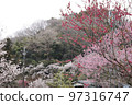 Higashi Chichibu Village Togenkyo with Remnants of Snow 97316747