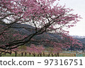 Higashi Chichibu Village Togenkyo with Remnants of Snow 97316751