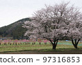 Higashi Chichibu Village Togenkyo with Remnants of Snow 97316853
