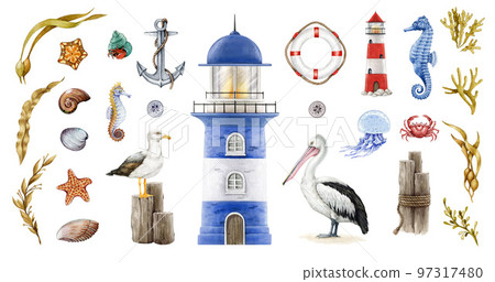 Seashore coast marine element big set. Watercolor illustration. Hand drawn lighthouse, anchor, pelican, gull, seaweed, crab, fish, shell elements. Marine vintage style nautical set. White background 97317480