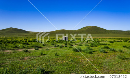 iris steppe in Buryatia 97318432