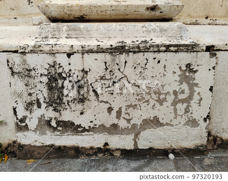 White wall are damaged by water causing mold, lichen and paint peeling 97320193