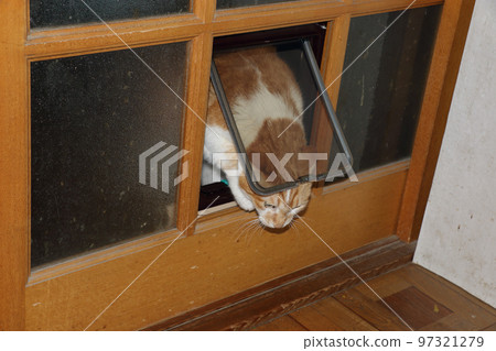 Attaching a cat door to a sliding door Attaching a cat door to a sliding door 97321279