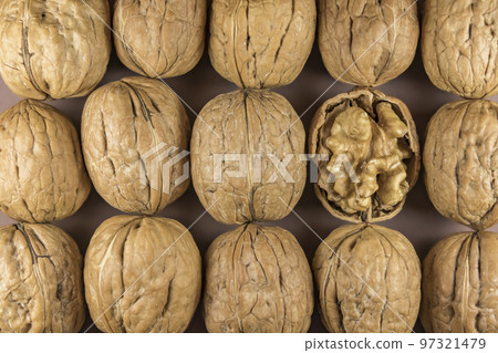 close up ripe and shelled walnuts close up ripe and shelled walnuts 97321479