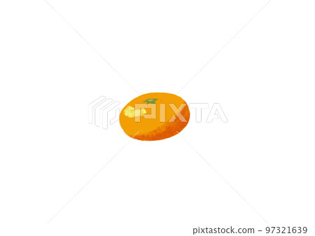 Mandarin orange Mandarin orange 97321639