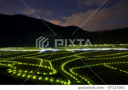 1,000-year sparkle of Tashibu-so, Bungotakada City, Oita Prefecture [November] 97323065