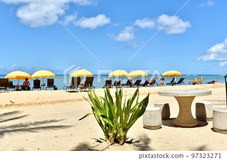 Holidays in Hawaii 97323271