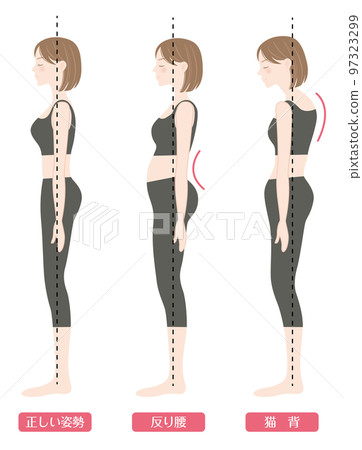 正確和錯誤的姿勢（彎曲的背部和彎腰） 97323299