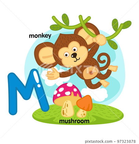 Alphabet Isolated Letter M-monkey-mushroom illustration vector 97323878