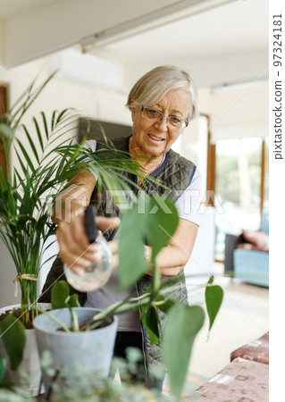Senior woman taking care of home plant near window indoors. Creating zen atmosphere at home 97324181