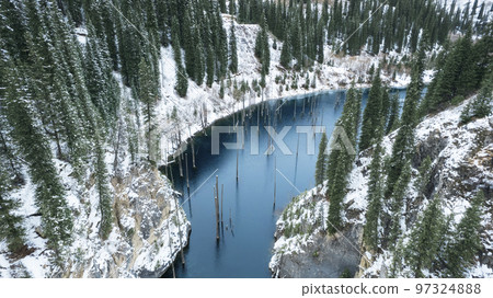 Coniferous tree trunks come out of a mountain lake Coniferous tree trunks come out of a mountain lake 97324888