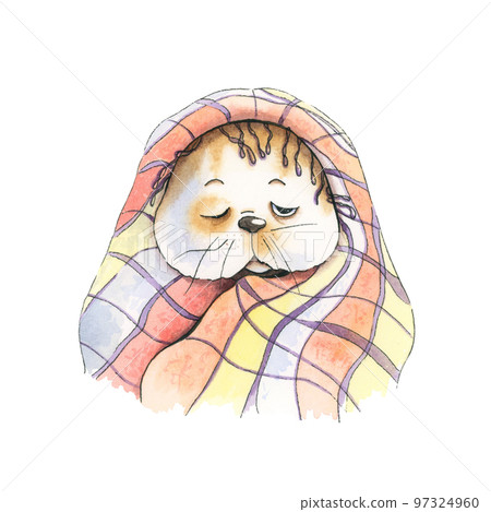 Humorous, watercolor illustration, cat in a blanket. 97324960
