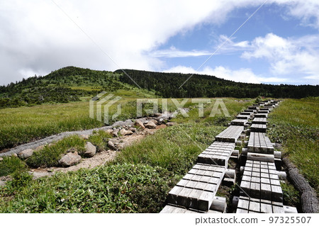 Mt. Naeba Climbing from the Koakasawa trailhead in Sakae Village, Akiyamago, Nagano Prefecture, from the wetlands of Tsuboba to the summit August 29, 2022 Mt. Naeba Climbing from the Koakasawa trailhead in Sakae Village, Akiyamago, Nagano Prefecture, from the wetlands of Tsuboba to the summit August 29, 2022 97325507