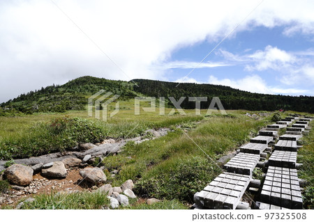 苗場山 從長野縣秋山鄉榮村的小赤澤登山口登頂，從坪場的濕地到山頂 2022 年 8 月 29 日 97325508