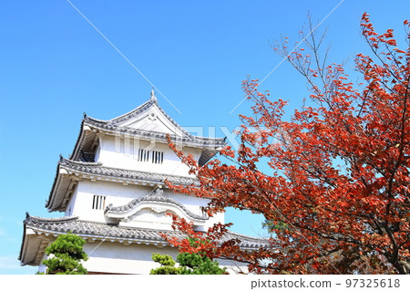 【香川縣】紅葉紅葉的秋天丸龜城（現存的天守閣和石牆） 97325618