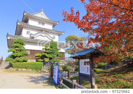 [Kagawa Prefecture] Marugame Castle in autumn with bright red leaves (existing castle tower and stone walls) 97325662