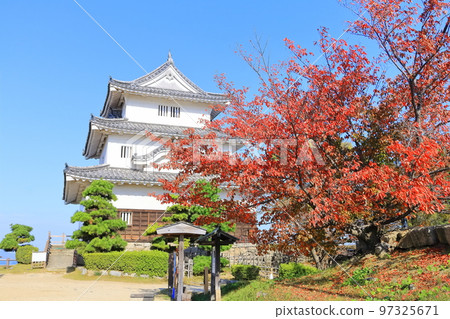 【香川縣】紅葉紅葉的秋天丸龜城（現存的天守閣和石牆） 97325671