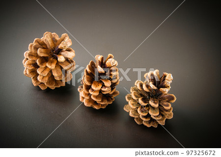 Pine cones used for Christmas wreaths and decorations Pine cones used for Christmas wreaths and decorations 97325672
