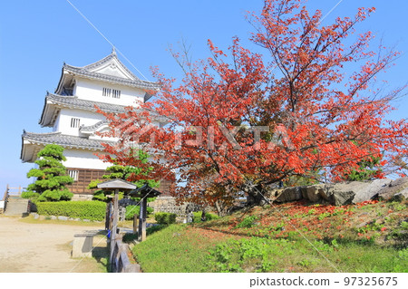 【香川縣】紅葉紅葉的秋天丸龜城（現存的天守閣和石牆） 97325675