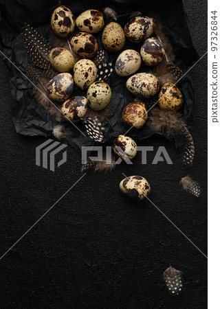 Quail eggs and feathers on black crumpled wrapping paper. A lot of spotty little eggs on a black textured background. Copy space. Healthy food. 97326844