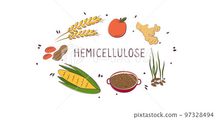 Hemicellulose-containing food. Groups of healthy products containing vitamins and minerals. Set of fruits, vegetables, meats, fish and dairy. 97328494