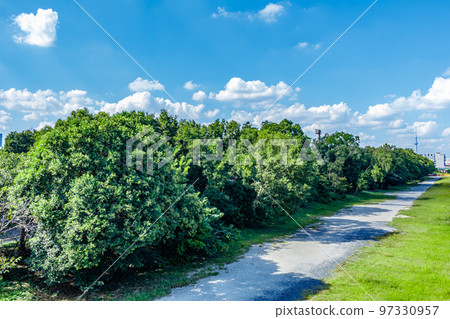 [Urban scenery of Tokyo] Urban scenery around Yumenoshima 97330957