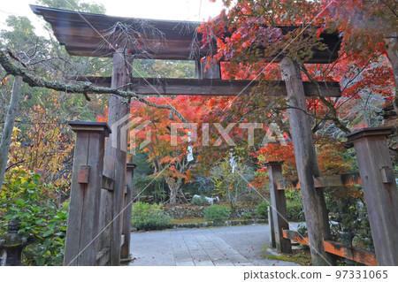 三木八幡宮的紅葉 97331065