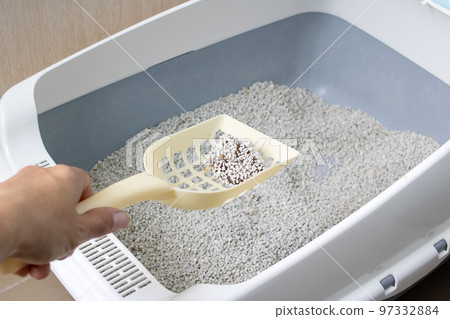 A scoop with cat excrement over a garbage can A scoop with cat excrement over a garbage can 97332884