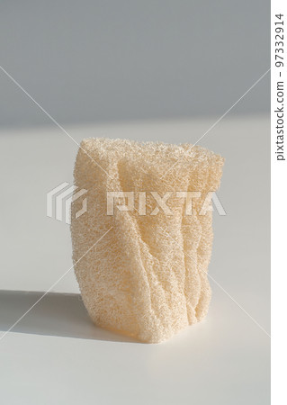 Loofah natural sponge on the white background. Loofah natural sponge on the white background. 97332914