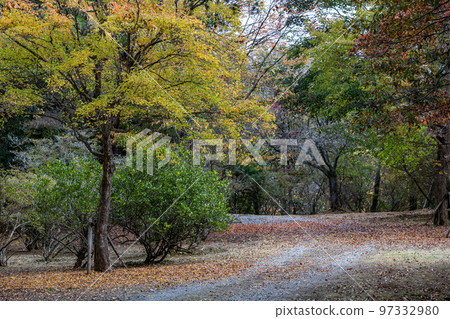 Ogitsuyama Nature Park, Hitachi City, Ibaraki Prefecture Ogitsuyama Nature Park, Hitachi City, Ibaraki Prefecture 97332980
