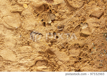 Human and dog footprints on the sand near the water Human and dog footprints on the sand near the water 97332983