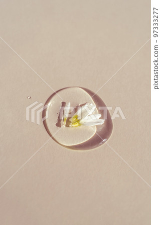 A drop of transparent cosmetic gel with echinacea on a beige background. A drop of transparent cosmetic gel with echinacea on a beige background. 97333277