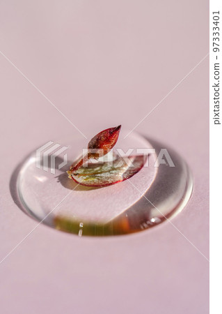A drop of cosmetic gel with a leaf on a pink background. A drop of cosmetic gel with a leaf on a pink background. 97333401