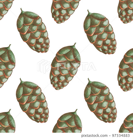 Hand Drawn Seamless Pattern with Green Christmas Cone. Happy new year. Digital paper with Green Pine Cone. 97334883