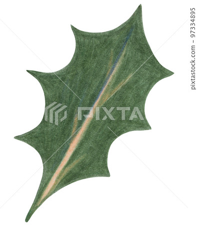 Christmas Green Leaf Isolated on White Background. Symbol of Happy New Year, Xmas Holiday celebration, Winter. Hand-drawn Pencil Illustration. Christmas Green Leaf Isolated on White Background. Symbol of Happy New Year, Xmas Holiday celebration, Winter. Hand-drawn Pencil Illustration. 97334895