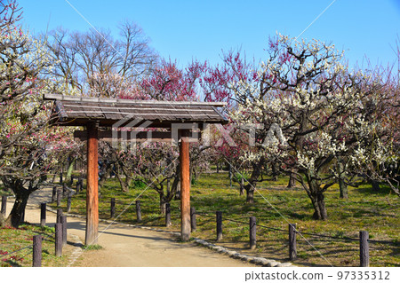 大阪城公園Bairin 大阪城公園Bairin 97335312